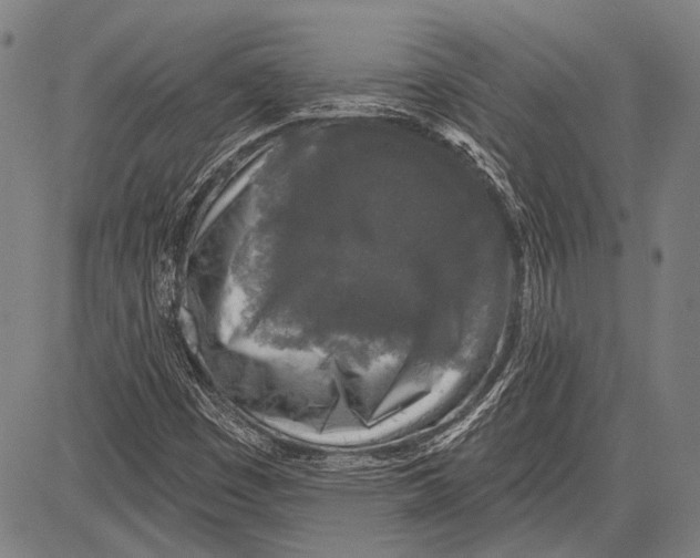 X0000081601449200702121537