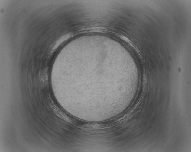 X0000081601450200702121537