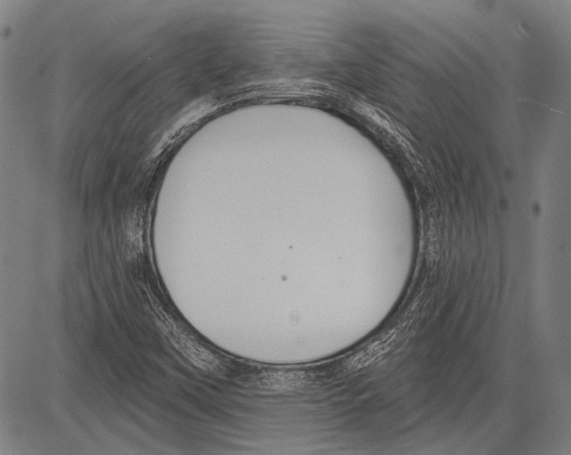 X0000081601451200702121537