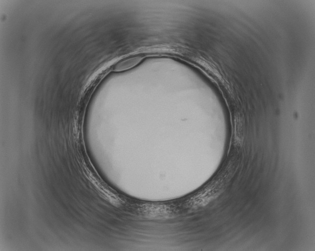 X0000081601452200702121537