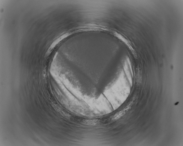 X0000081601453200702121537