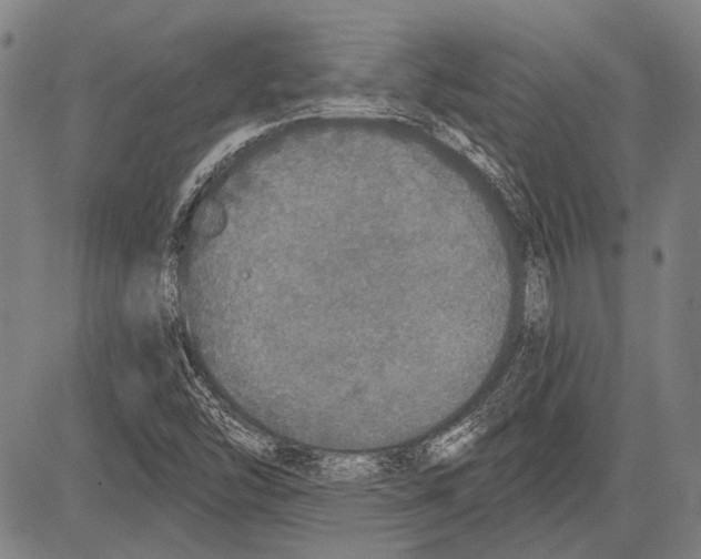 X0000081601454200702121537