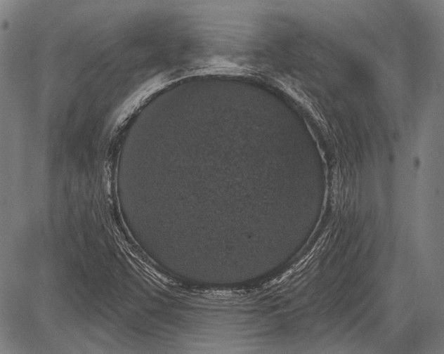 X0000081601455200702121537