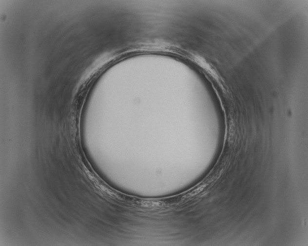 X0000081601456200702121537