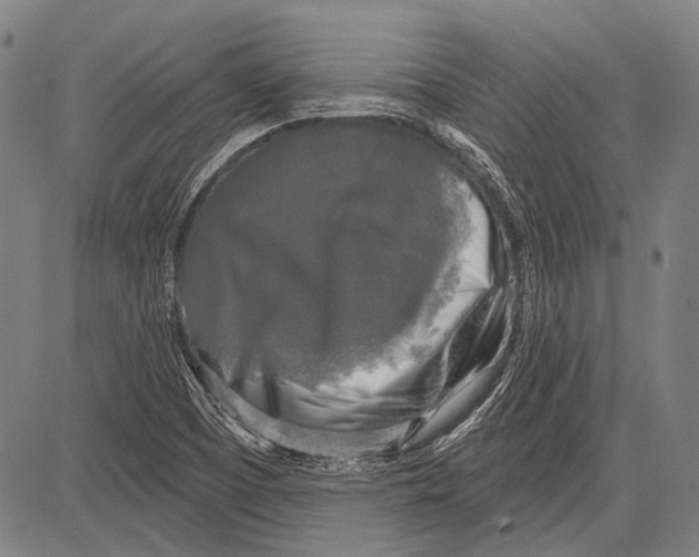 X0000081601457200702121537