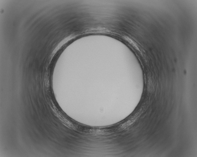 X0000081601458200702121537