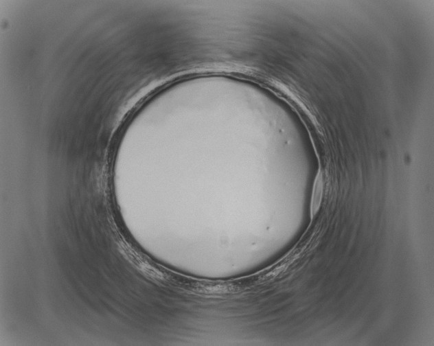 X0000081601460200702121537