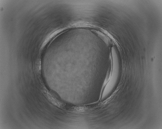 X0000081601461200702121537