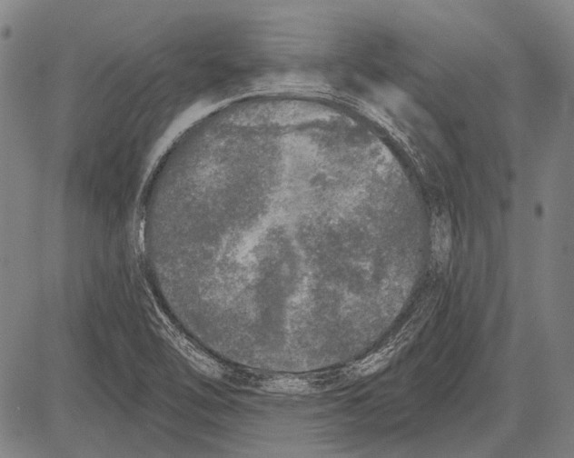 X0000081601462200702121537