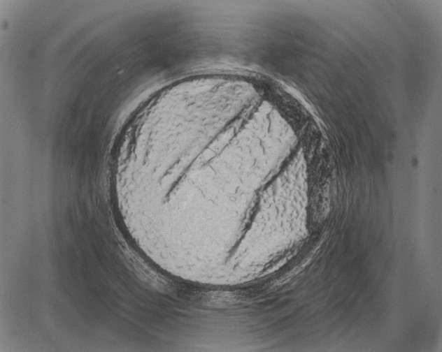 X0000081601463200702121537