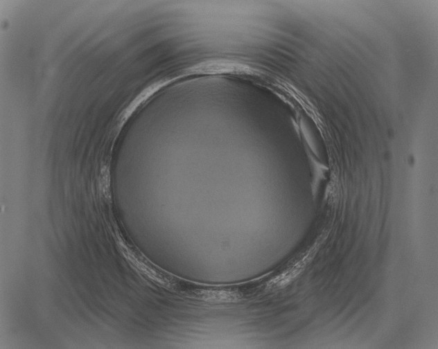 X0000081601465200702121537