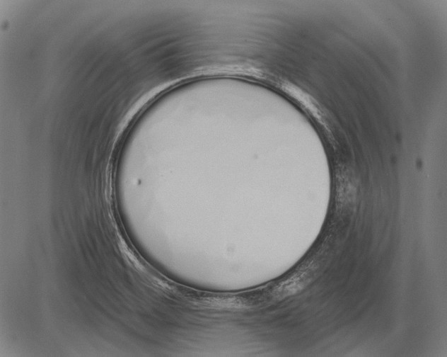 X0000081601468200702121537