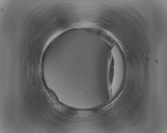 X0000081601469200702121537