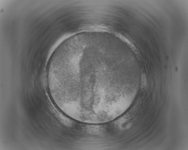 X0000081601470200702121537