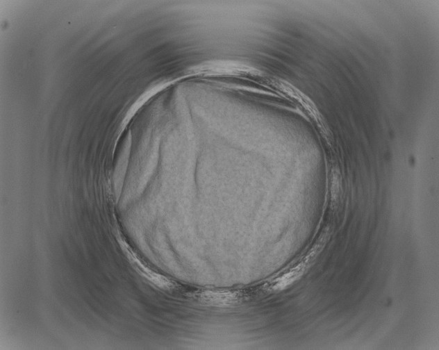 X0000081601473200702121537