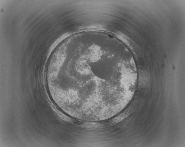 X0000081601474200702121537