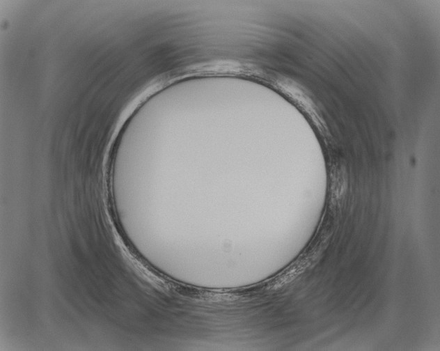 X0000081601475200702121537