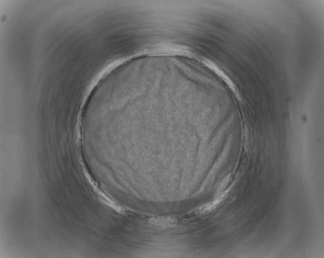 X0000081601477200702121537