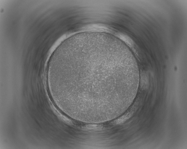 X0000081601478200702121537