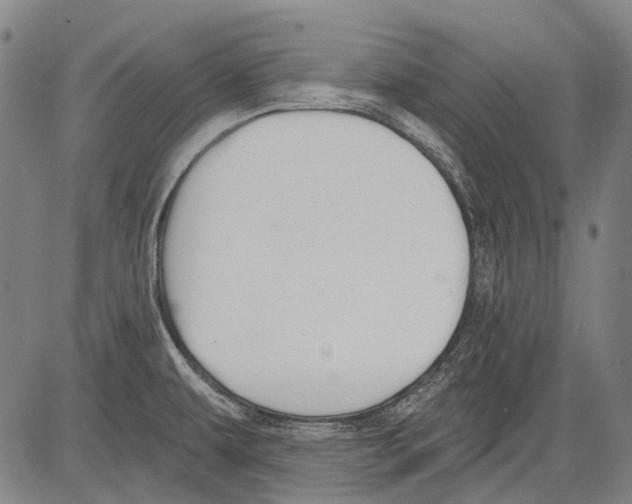 X0000081601479200702121537