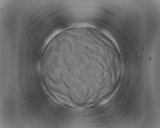 X0000081601481200702121536