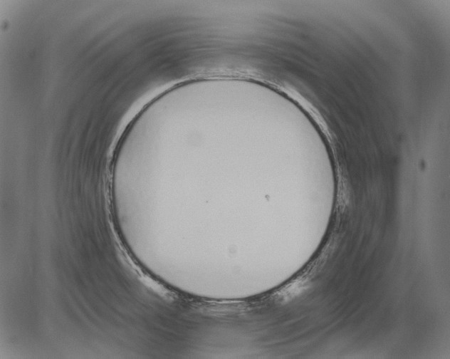 X0000081601486200702121536