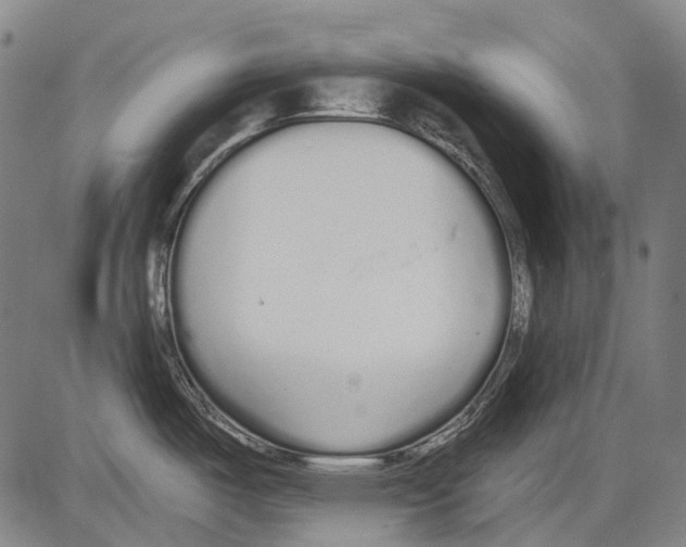 X0000081601487200702121536