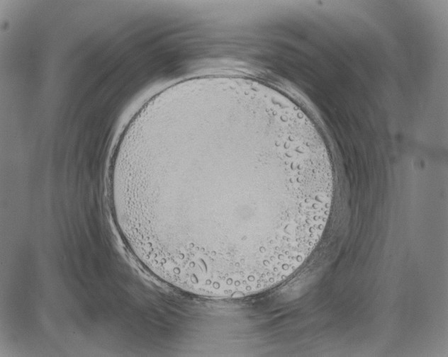 X0000081601488200702121536