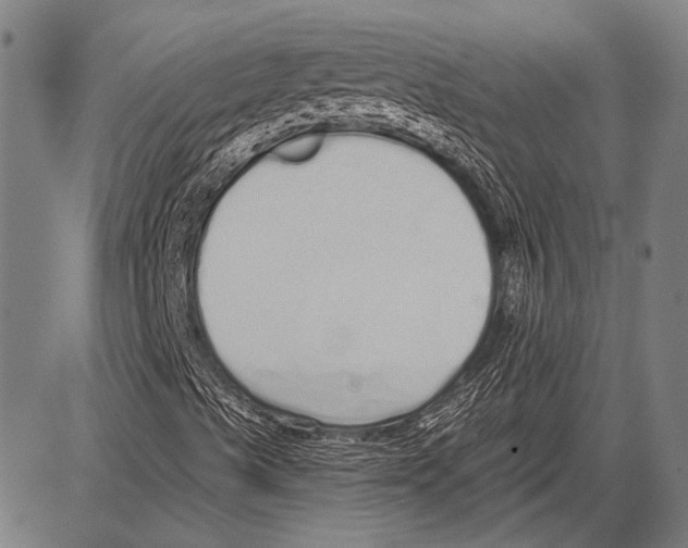 X0000081601489200702121536