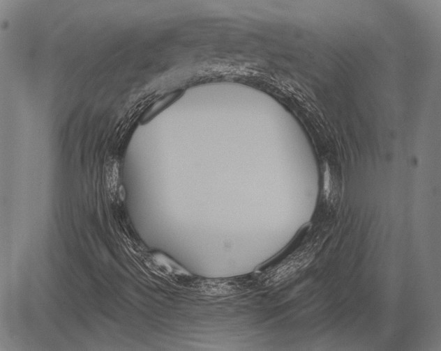 X0000081601492200702121536