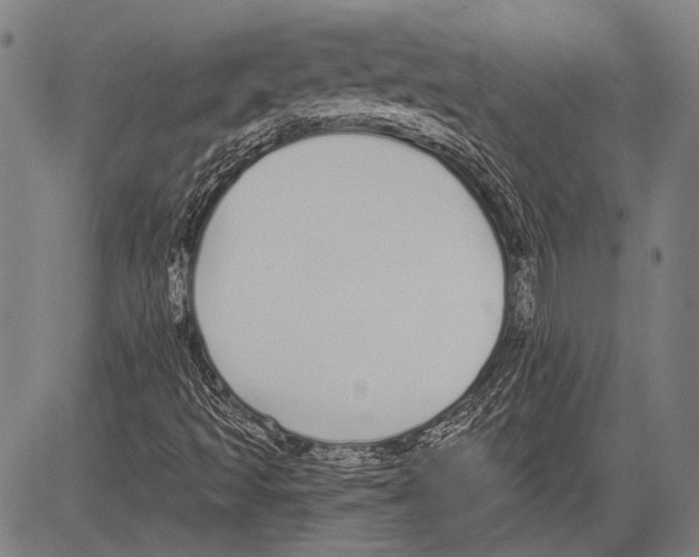 X0000081601493200702121536