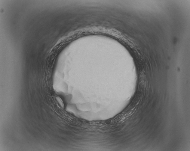 X0000081601494200702121536