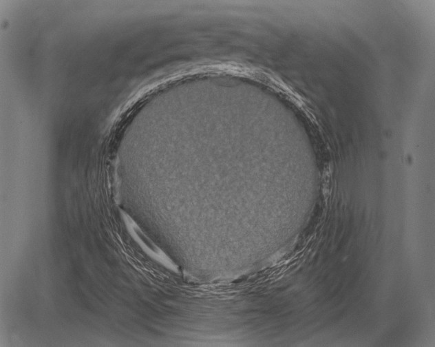 X0000081601496200702121536