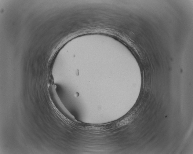 X0000081601500200702121536