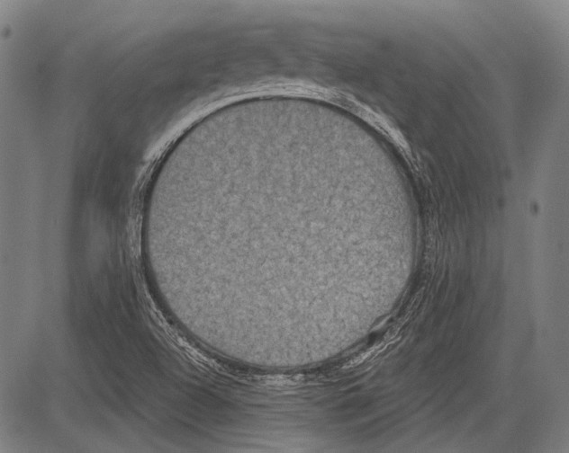 X0000081601504200702121536