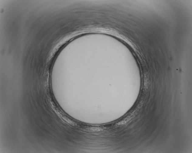 X0000081601507200702121536