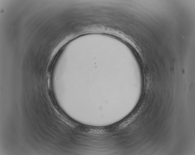 X0000081601509200702121536