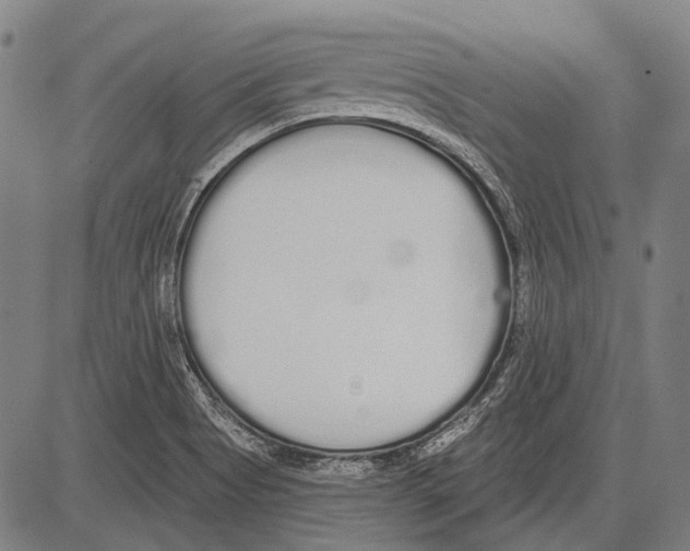 X0000081601513200702121536