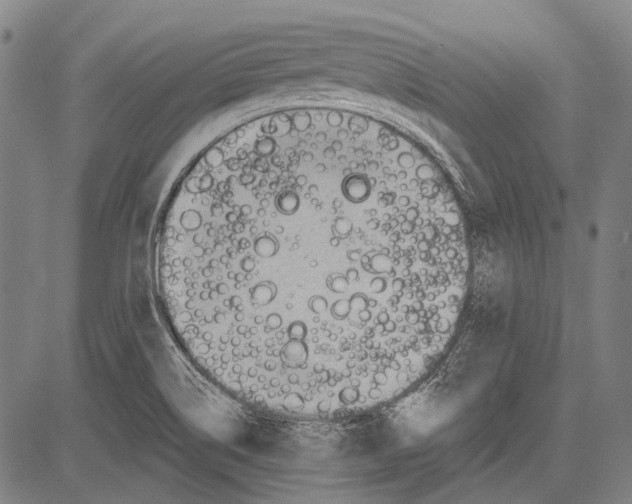 X0000081601514200702121536