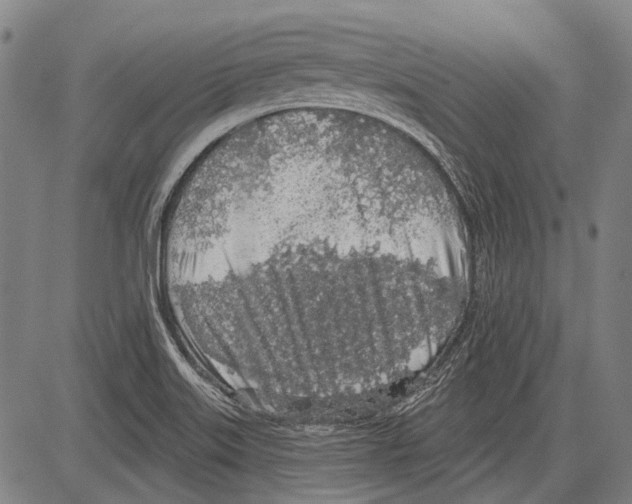 X0000081601515200702121536