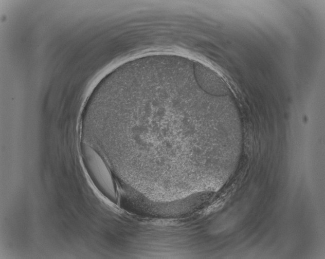 X0000081601519200702121536