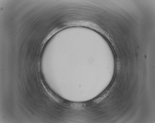 X0000081601521200702121536