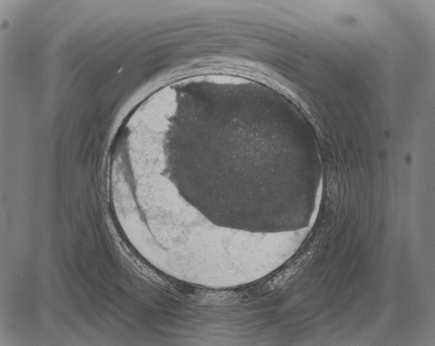 X0000081601522200702121536