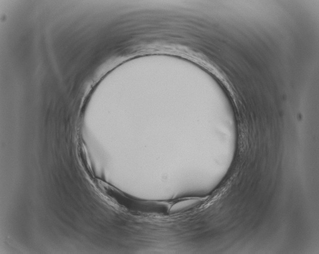 X0000081601525200702121536