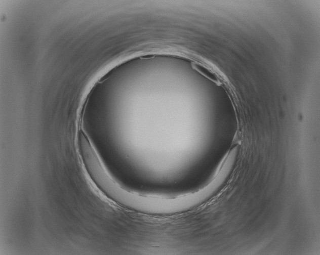 X0000081601528200702121536