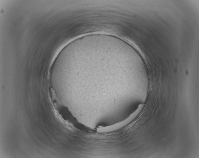 X0000081601532200702121536