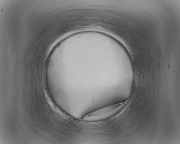 X0000081601534200702121536