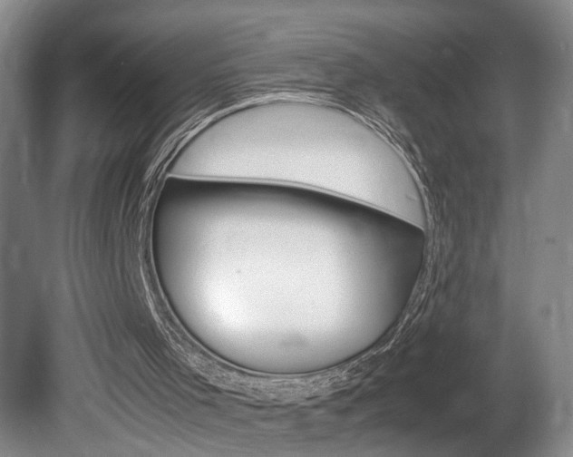 X0000081610001200701151132