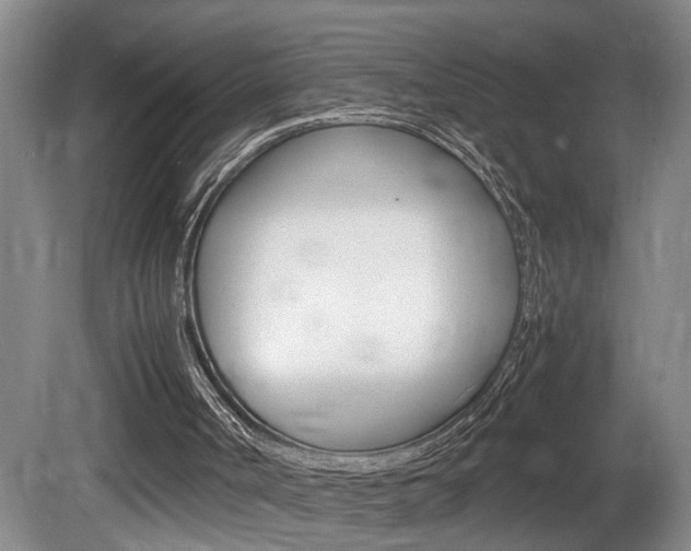 X0000081610002200701151132