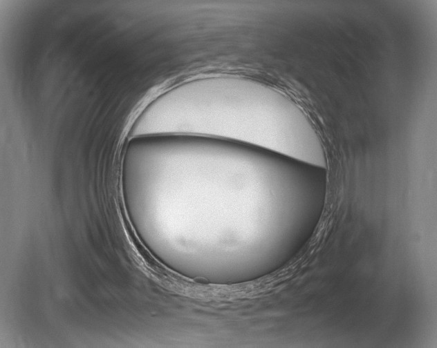 X0000081610003200701151132